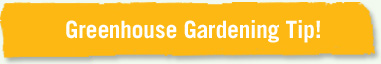 Greenhouse Gardening Tip