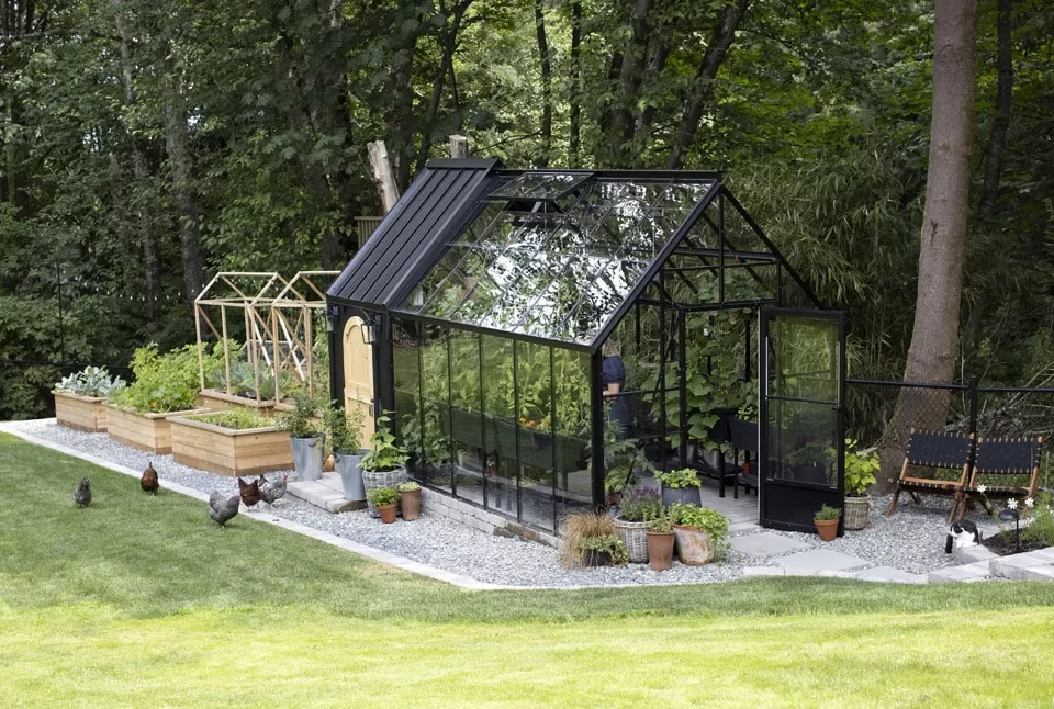 Greenhouse-Chicken-Coop-9067
