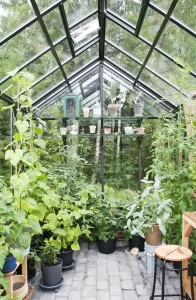 Interior Greenhouse