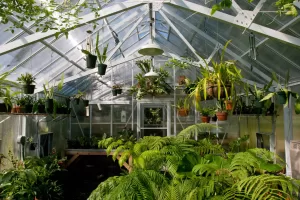Interior Fivewall Polycarbonate Greenhouse