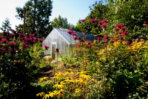 Polycarbonate Greenhouse