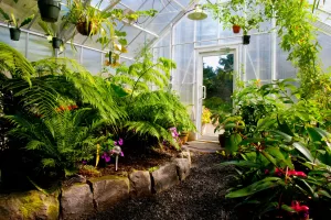 Interior Polycarbonate Greenhouse