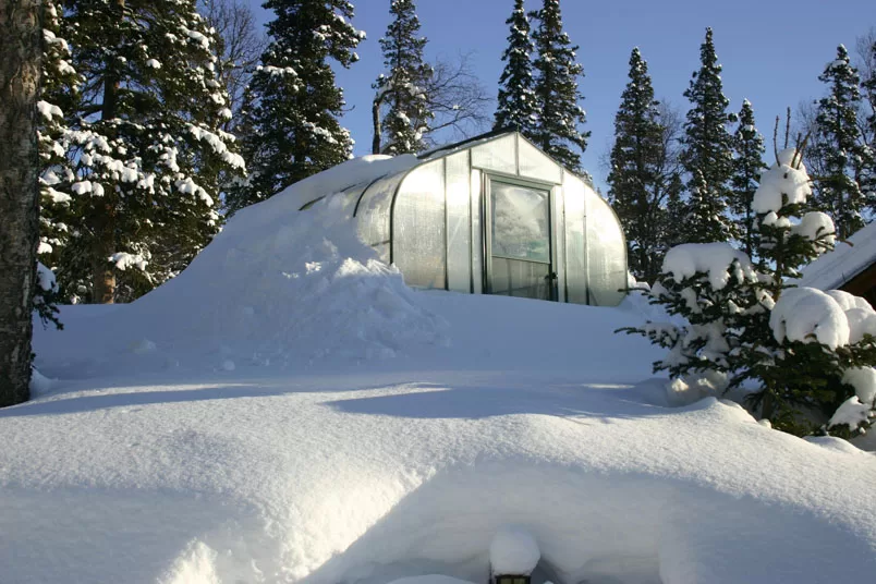 Greenhouses in the Snow