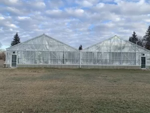 Double Commercial Greenhouses