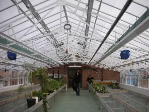 Interior School Greenhouse