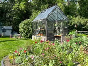 Backyard Greenhouse