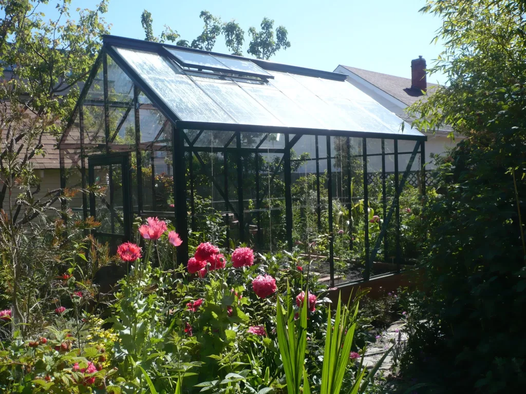 Cottage 8x12 Single Glass Greenhouse