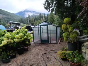 Sunhaven Greenhouse