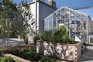 Rooftop School Greenhouse
