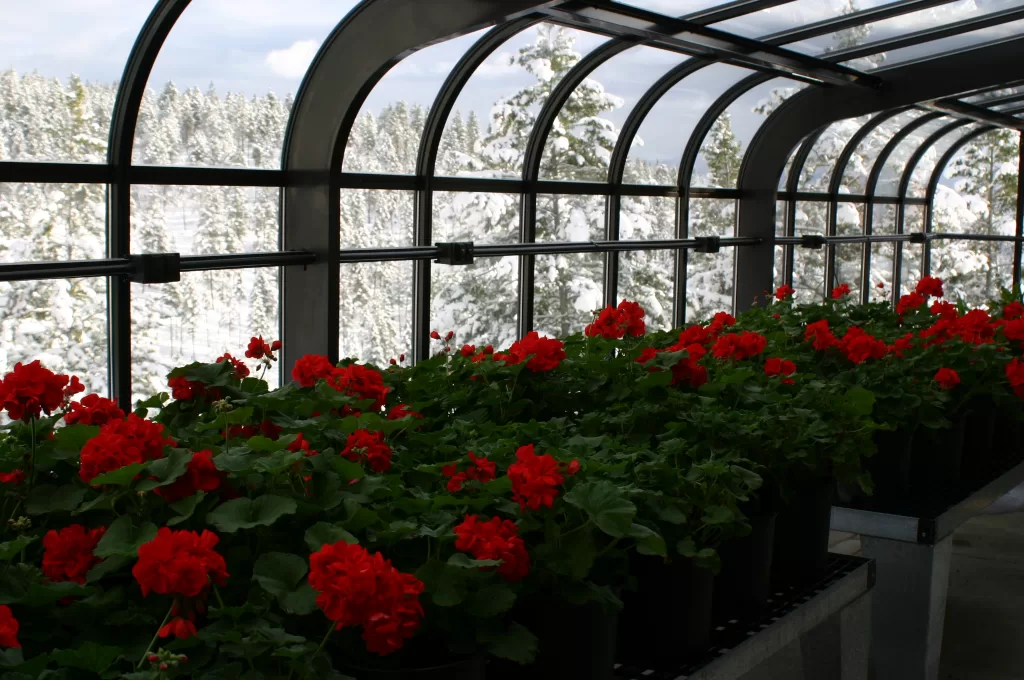 Interior Custom Rooftop Greenhouse