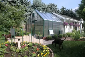 Gable Attached Backyard Greenhouse