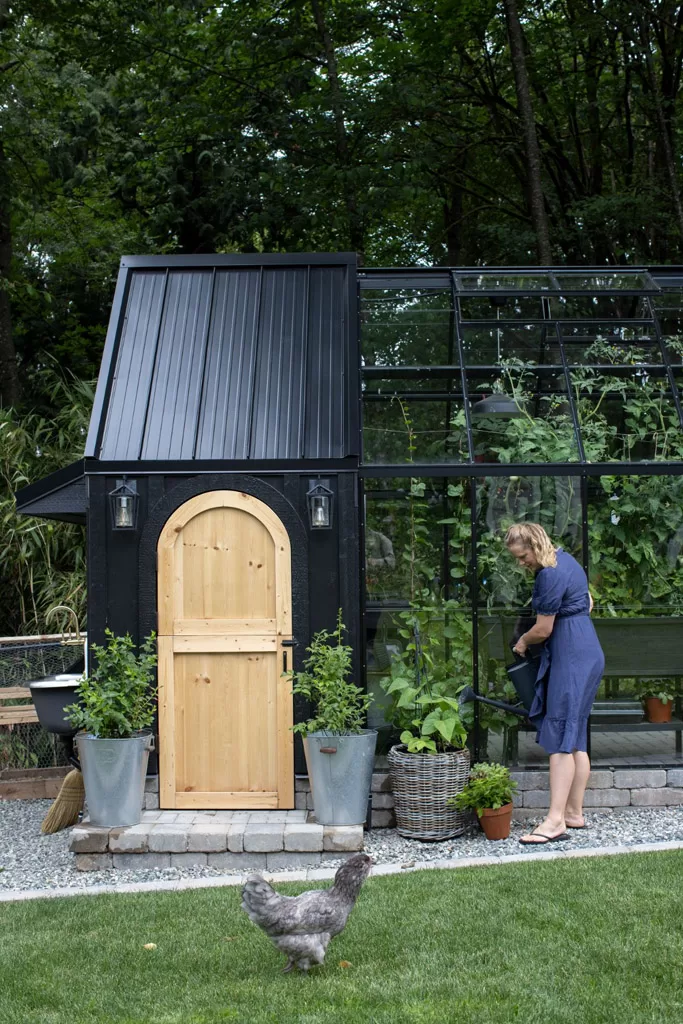 Chicken Coop Greenhouse