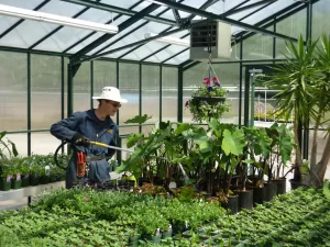 University Commercial Greenhouse