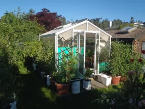 Traditional 8x10 Twinwall Polycarbonate Greenhouse