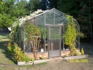 Backyard Grow Space