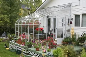 Pacific Lean-To 10x12 Single Glass Greenhouse