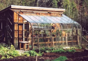 Glass Lean To Greenhouse