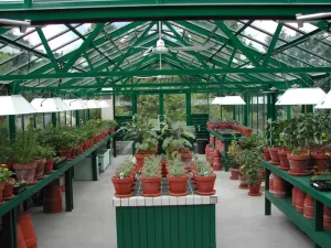 Interior Traditional 20x30 Double Glass Greenhouse