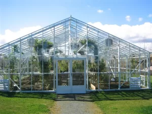 Traditional 30x30 Single Glass Greenhouse