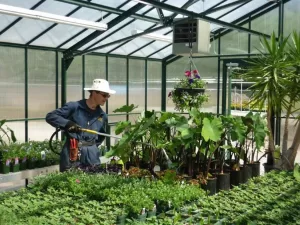 Interior Lean-To Greenhouse