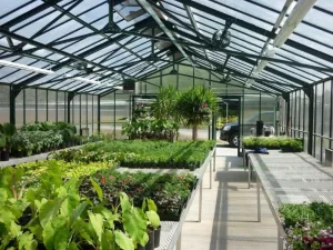 Interior Lean-To Greenhouse