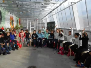 Interior Lean-To Rooftop Canopy Greenhouse