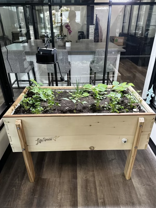 LifeSpace Gardens Self-Watering Planters - Image 9