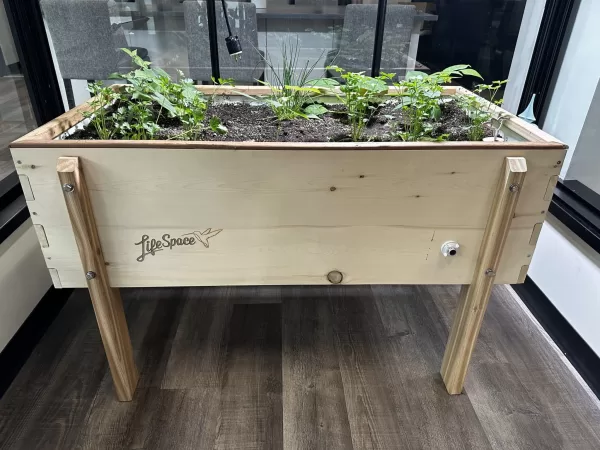 LifeSpace Gardens Self-Watering Planters