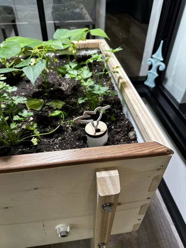 LifeSpace Gardens Self-Watering Planters - Image 6