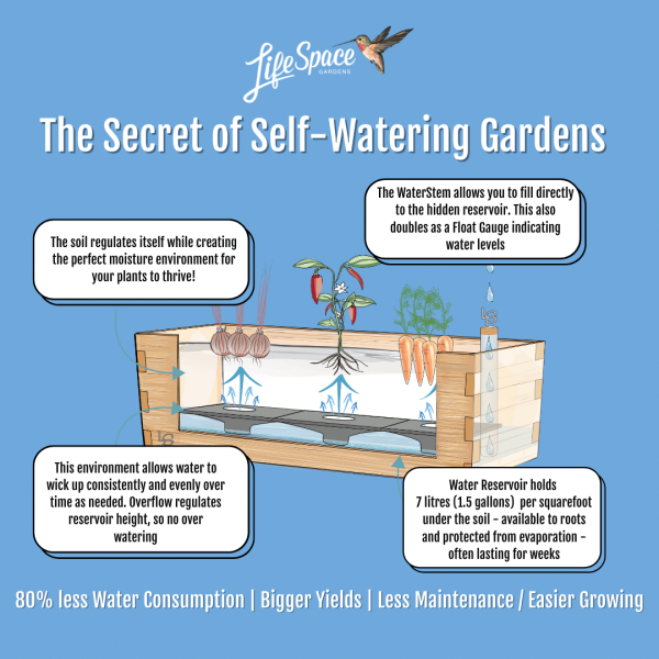 LifeSpace Gardens Self-Watering Planters - Image 2