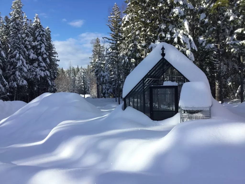 heavy snow greenhouse