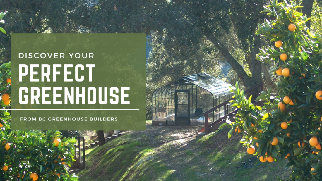 Discover Your Perfect Greenhouse Quiz BC Greenhouses